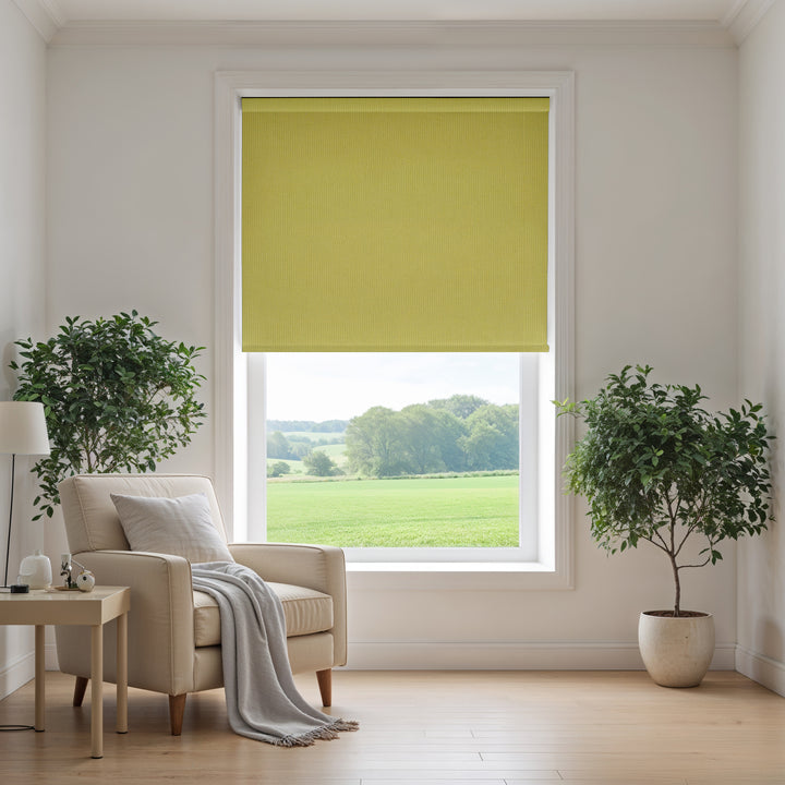 Living room with a window featuring a yellow blind, a beige armchair, and two potted plants.