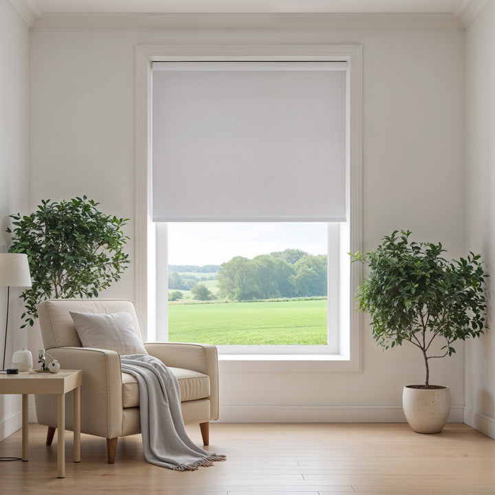 Living room with a window, armchair, and potted plants
