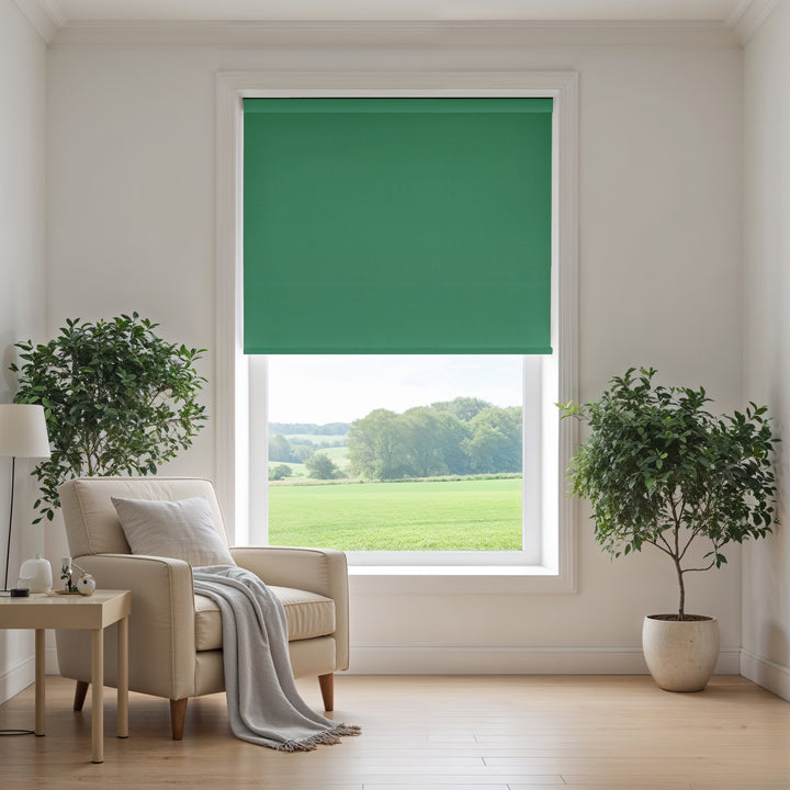 Living room with a green roller blind, beige armchair, and potted plants.
