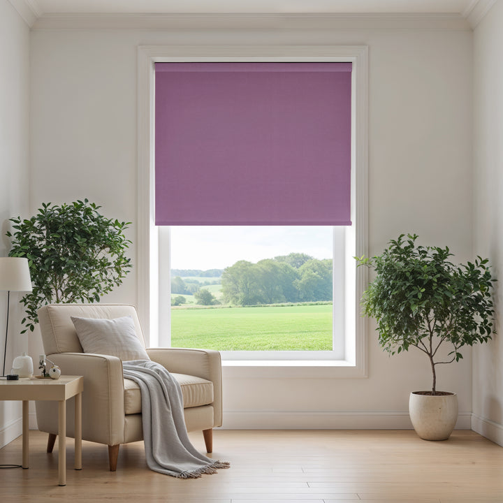 Living room with a window featuring a purple roller blind, a beige armchair with a gray blanket, and two potted plants.